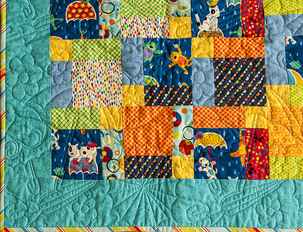 Raining Cats and Dogs Closeup